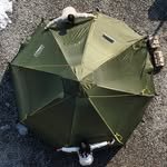 omomocam 프로필 사진