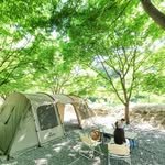 travelfam_camping 프로필 사진