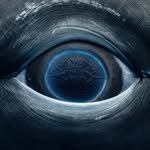 cncca.m 프로필 사진