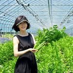 detoxschool 프로필 사진