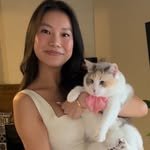 fatfatpankocat 프로필 사진