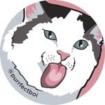 purrfectboi 프로필 사진