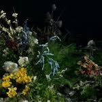 chaestival_ 프로필 사진