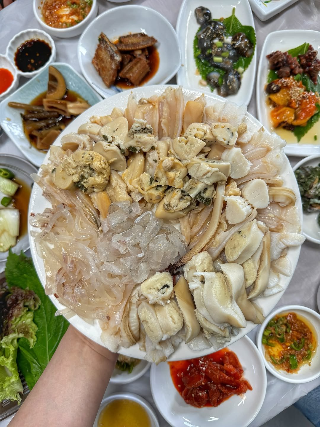 Photo by 하또먹 on June 16, 2025.