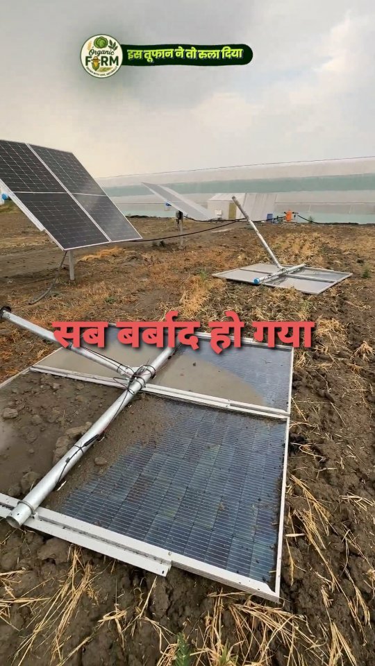 your_organic_farm 게시물 이미지: तुफान ने सब बर्बाद कर दिया #organic #reels...