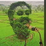 adgroupoforganics 프로필 사진