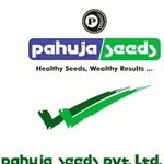 pahujaseeds 프로필 사진