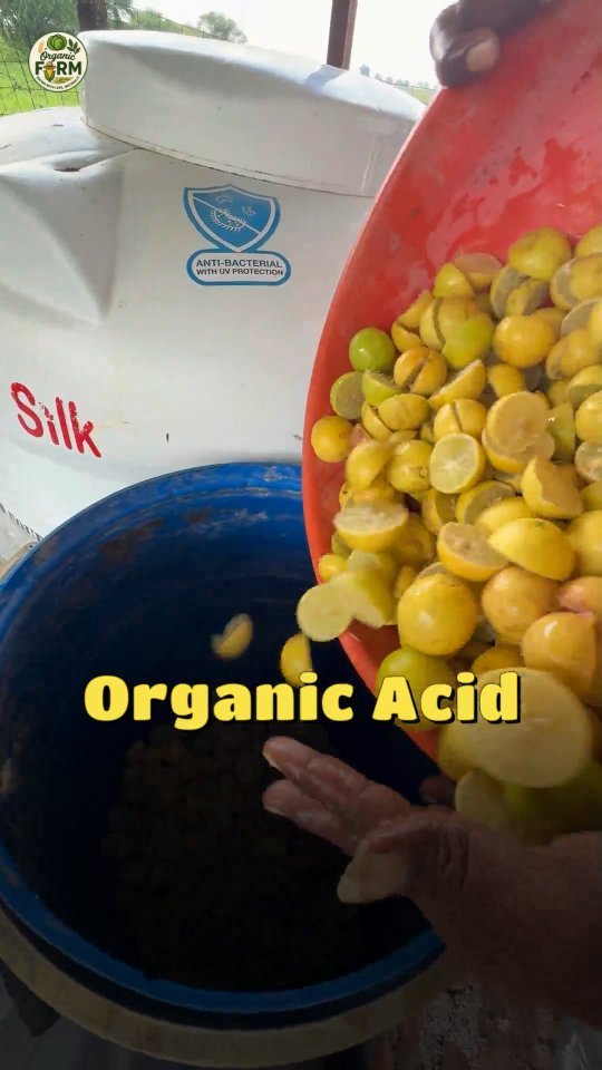 your_organic_farm 게시물 이미지: TCBT नींबू का खट्टा जैव रसायन #organic...