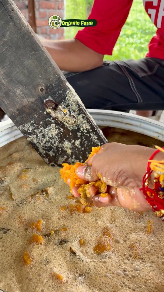 your_organic_farm 게시물 이미지: कद्दू का मिठा जैव रसायन #organic #organicfood...