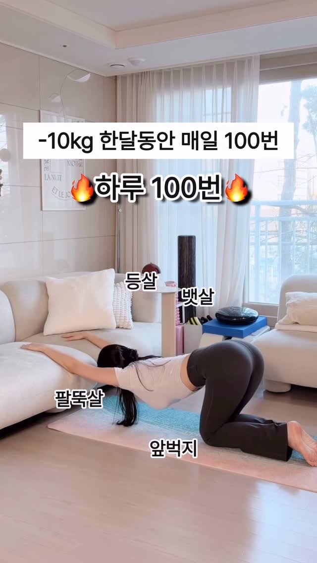 youtherapy_cera 게시물 이미지: -10kg 한달동안 매일 100번🔥

간만에 가져온 100번 챌린지에요🤗
플랭크 &...