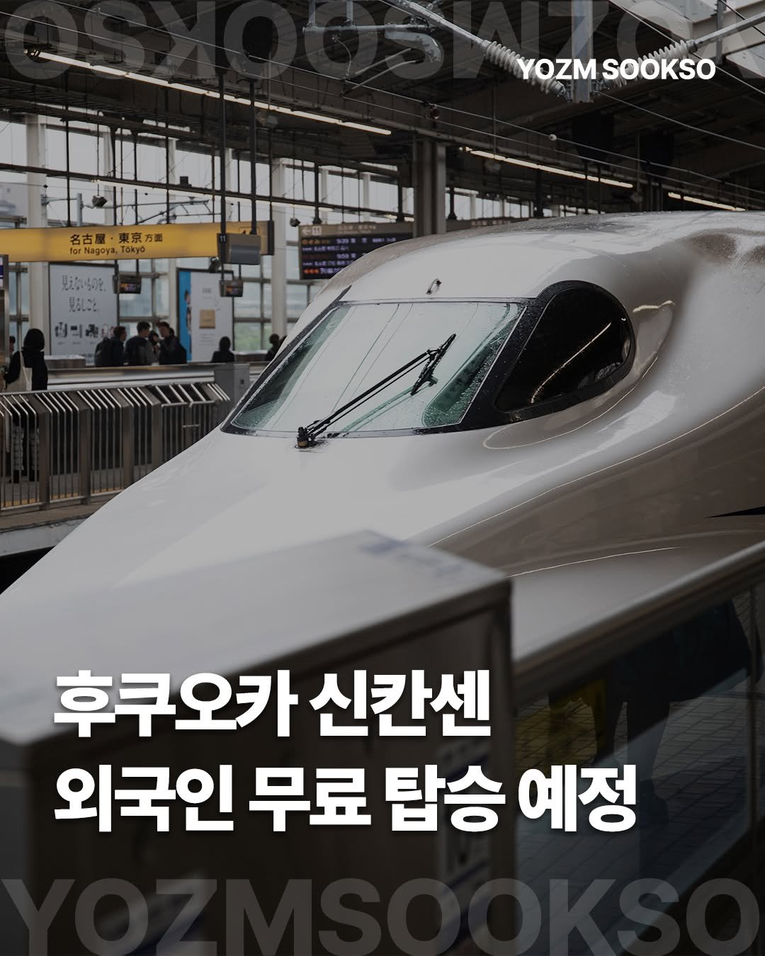 Photo by 요즘숙소 on February 22, 2026. May be an image of text that says 'YOZM SOOKSO 展 名古屋・東京方面 東京 agoya 見元かいらのを、 見るしこと 四 HIT TTW 후쿠오카 신칸센 외국인 무료 탑승 예정'.