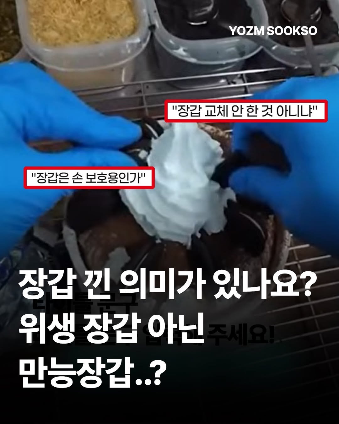 yozmsookso 게시물 이미지: 설빙 매장에서 한 직원이 위생장갑을 착용한 채
조리와 설거지, 청소 등을 하는...