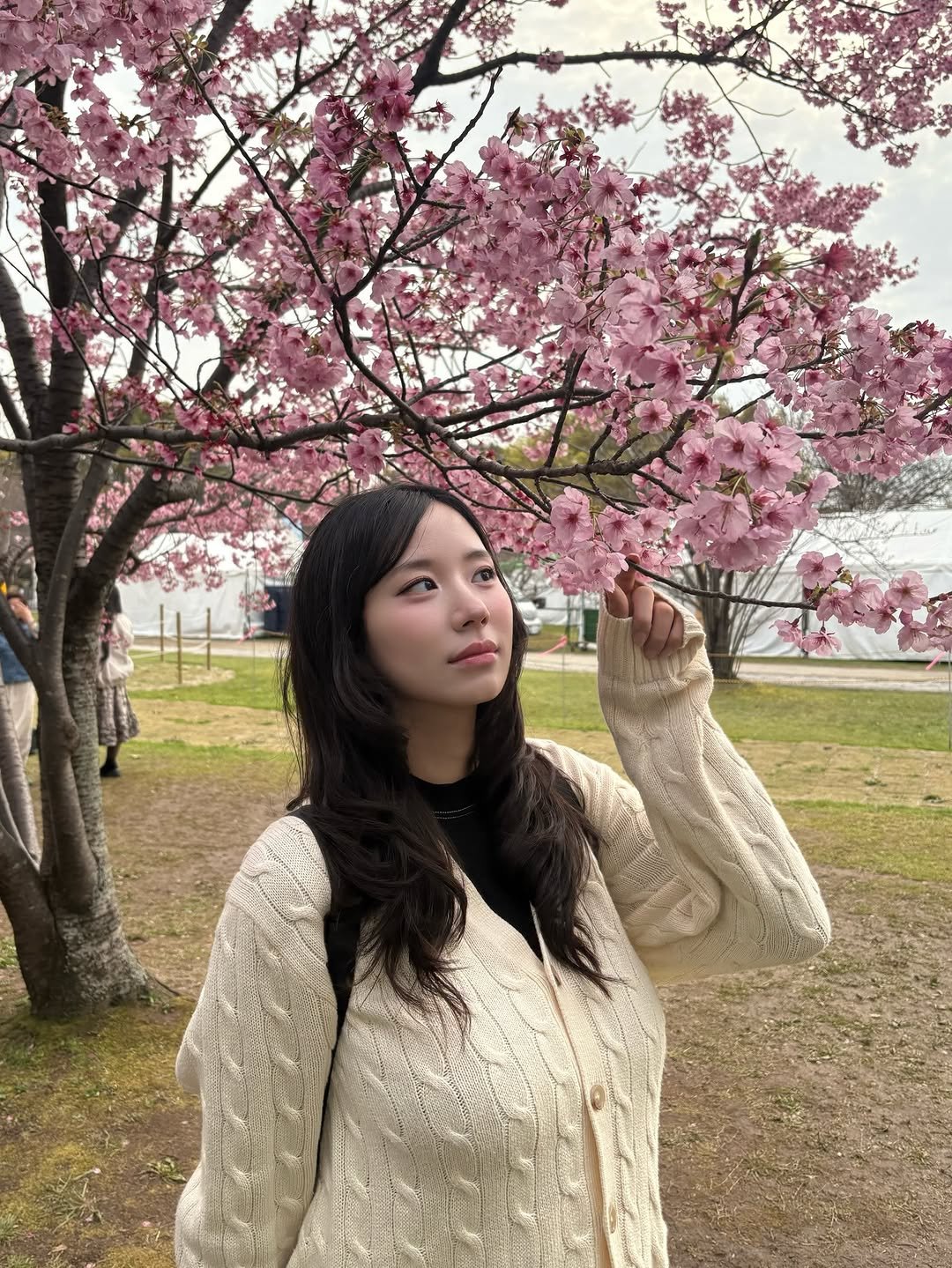 ysdp0715 게시물 이미지: 조금이른 벚꽃과 애낳기전 마지막 해외여행🥲