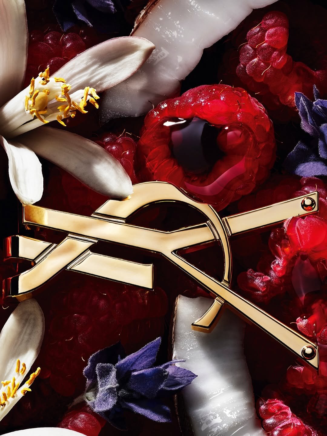Photo by YSL Beauty Official on January 14, 2026. May be an image of mangosteen, strawberry and text.
