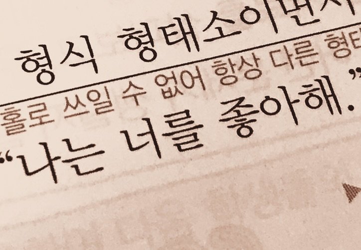 Photo by 연서 on October 26, 2025. May be an image of book and text that says '형식 항상 형태소이 다른 형 홀로 쓰일 너를종아해 수 없어 좋아해 '나는 너를'.