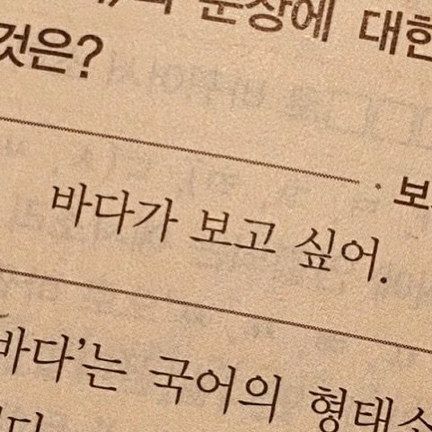 Photo by 연서 on April 28, 2026. May be an image of book, pie and text that says '것은? 나일에 대한 바다가 보고 바다가보고싶어 보고싶어 싶어. 보 바다'는 국어의 형태스'.