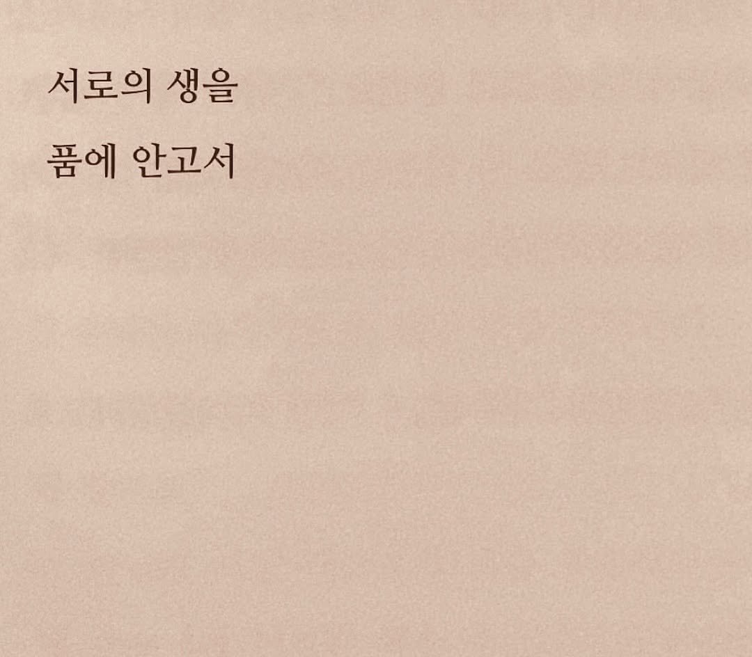 Photo by 연서 on November 16, 2025. May be an image of book and text that says '서로의 서로의생 생을 품에 안고서'.