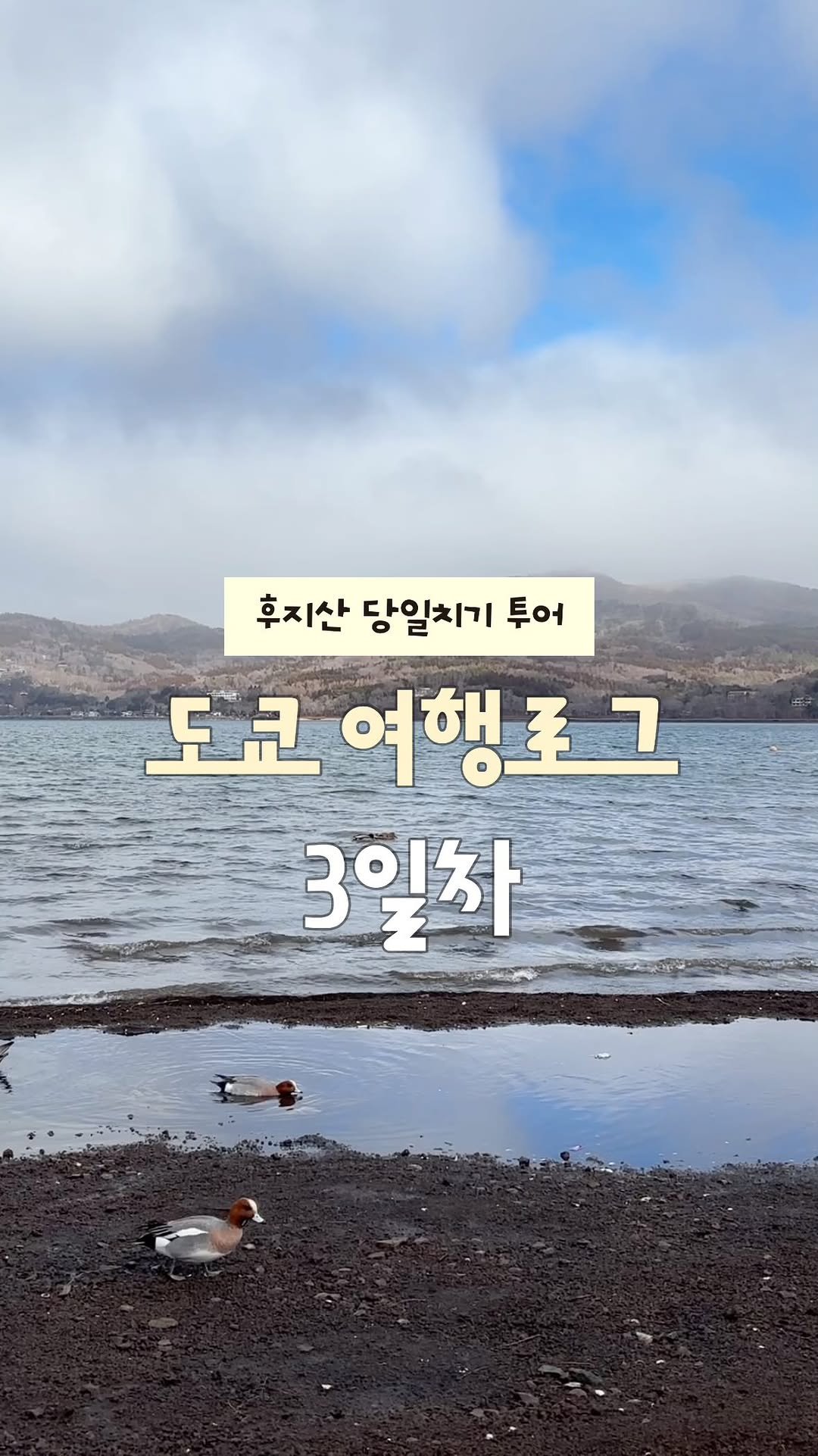 yujeonglog 게시물 이미지: 도쿄 여행로그 3일차 : 후지산 당일치기 투어 + 존맛탱 야키토리 뿌시기 +...