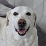 rina_sister 프로필 사진