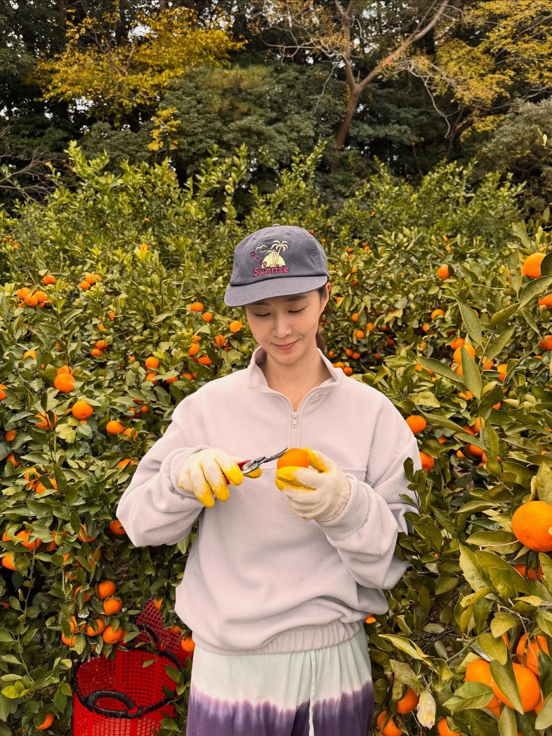 yulyulk 게시물 이미지: 청년농부입니다 연락주세요🤭소원한테 보내준 귤 택배🍊
당첨자들축하해. 나는야다정다감유리ㅋ