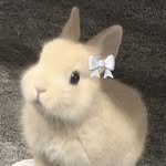 loveposil 프로필 사진
