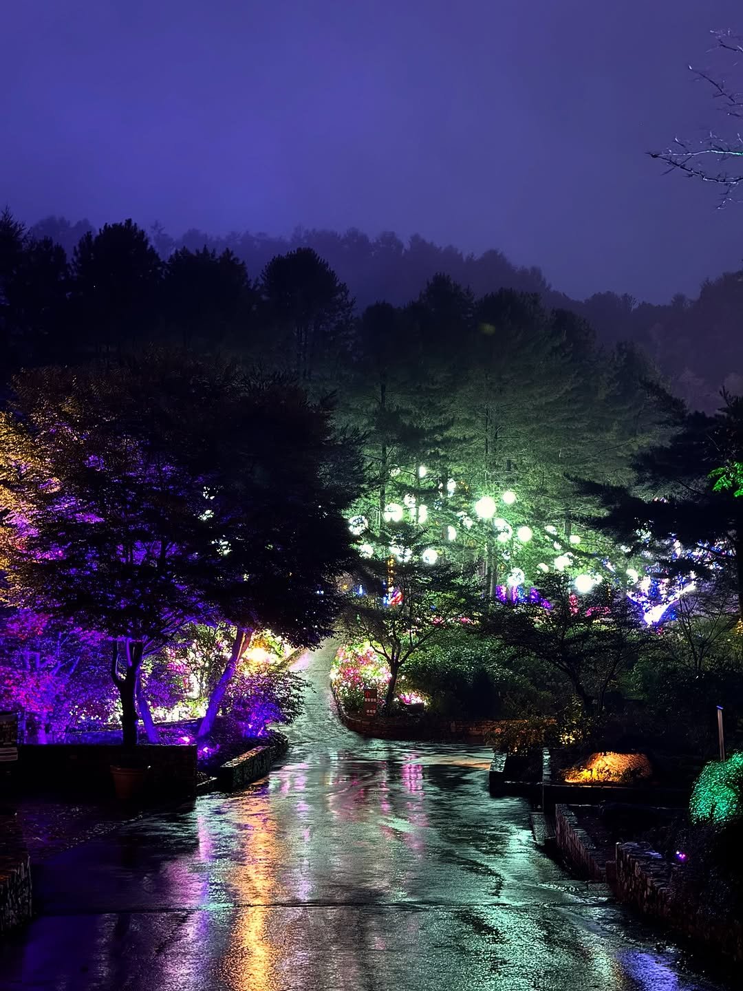 Photo shared by 김윤아 아이와여행 | 여행육아 | 여행팁 on October 30, 2025 tagging @thestayhealingpark.