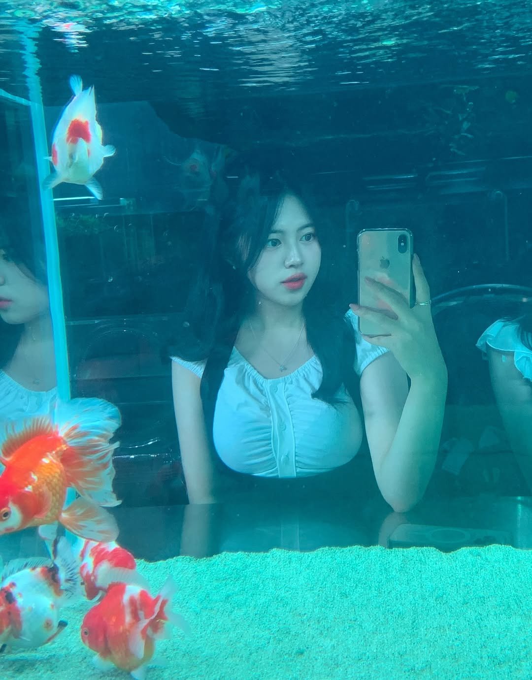 Photo by 윤하짱 ⸜❤︎⸝‍ ​| 소프트라인 on September 03, 2025. May be an image of 1 person, goldfish, aquarium and text.