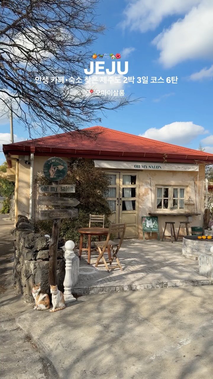 yuni._.journey 게시물 이미지: 지금 제주는 봄🌼 인생 카페, 숙소 다녀온 제주도 2박 3일 코스...
