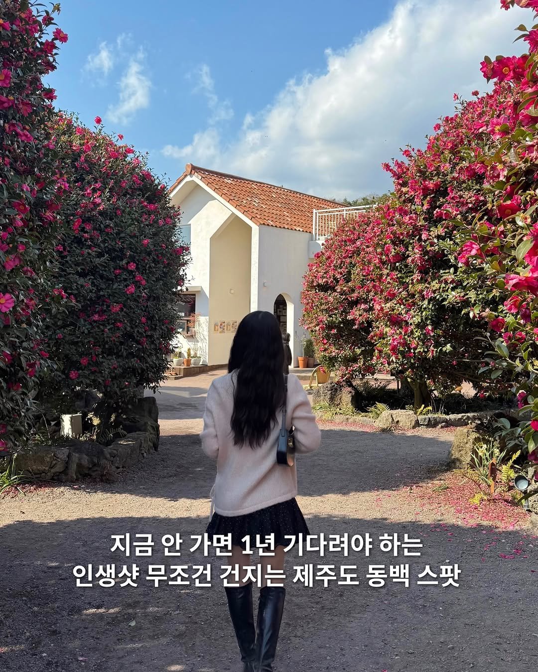 Photo shared by 여행 데이트코스 팝업 공간 | 유니져니 on February 15, 2026 tagging @camelia.forest. May be an image of baby's-breath, outdoors and text.