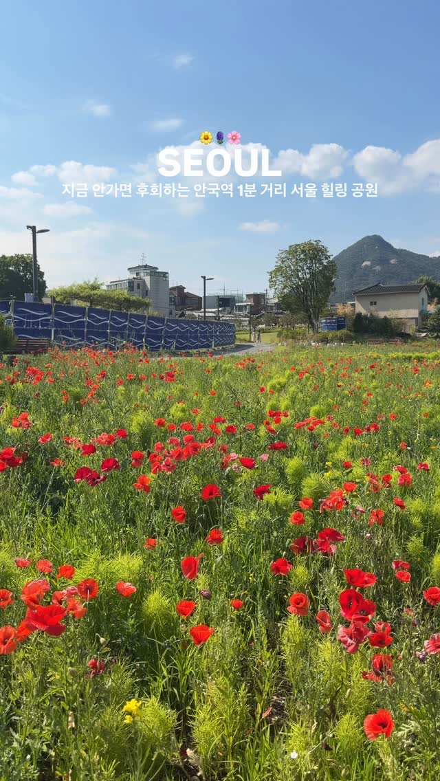 yuni._.journey 게시물 이미지: 여기가 서울 도심 한복판이라니 .. ♥ 작은 유럽 같은 풍경 지금 안 가면...