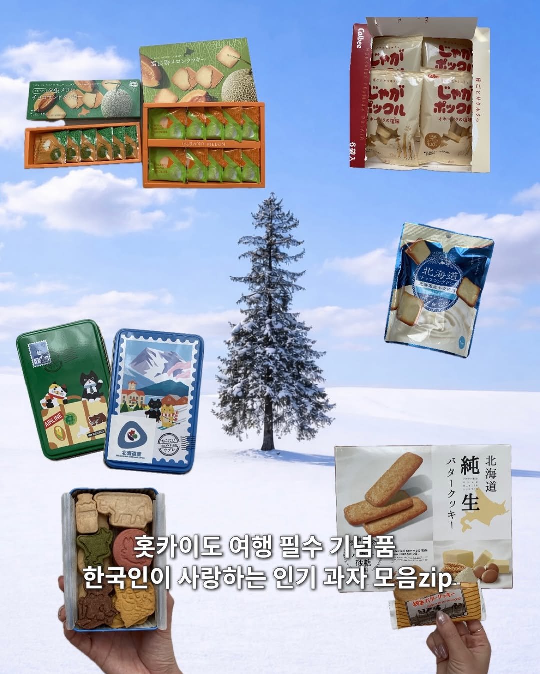 Photo by 여행 데이트코스 팝업 공간 | 유니져니 on February 23, 2026. May be an image of wafer and text that says 'ဆခခ BRSTBRLAN じゃ ポツン ツつル 40年年 -- TASENNG AIALINE 充灣道産 純 北 ダ 海 海 9 2 バ ク 無 EE 道 生 홋카이도 여행 필수 기념품 日日 한국인이 사랑하는 인기 과자 모음zip'.