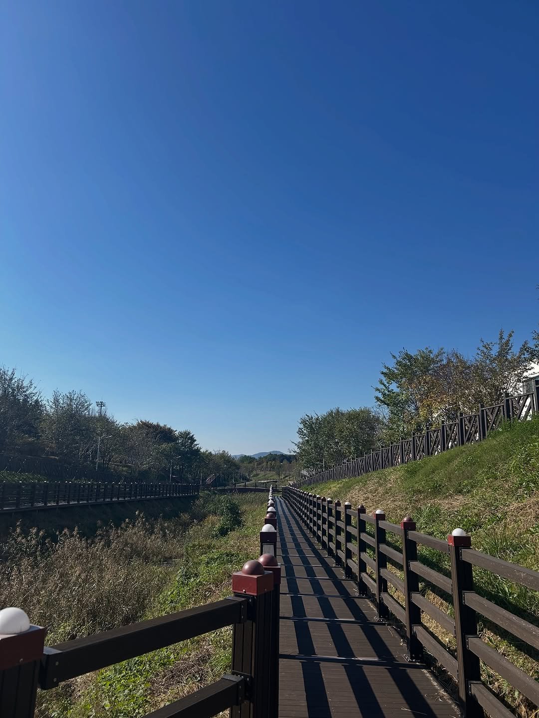 Photo by ╹유니브╹다이어트╹순환╹홈트╹건강 on October 28, 2025. May be an image of park, bridge and text.