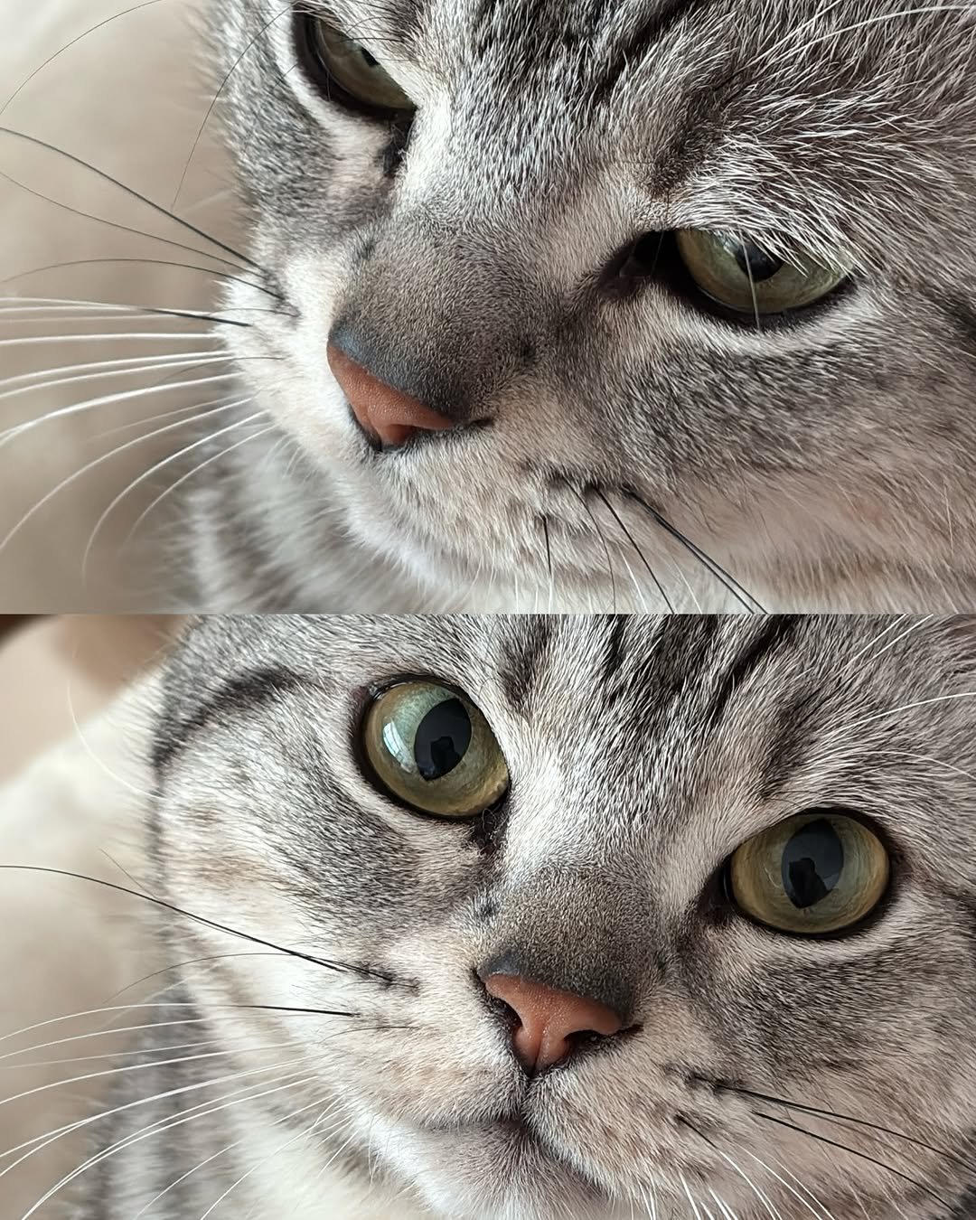 Photo by 남동생 유리 그리고 태리 on March 19, 2025.