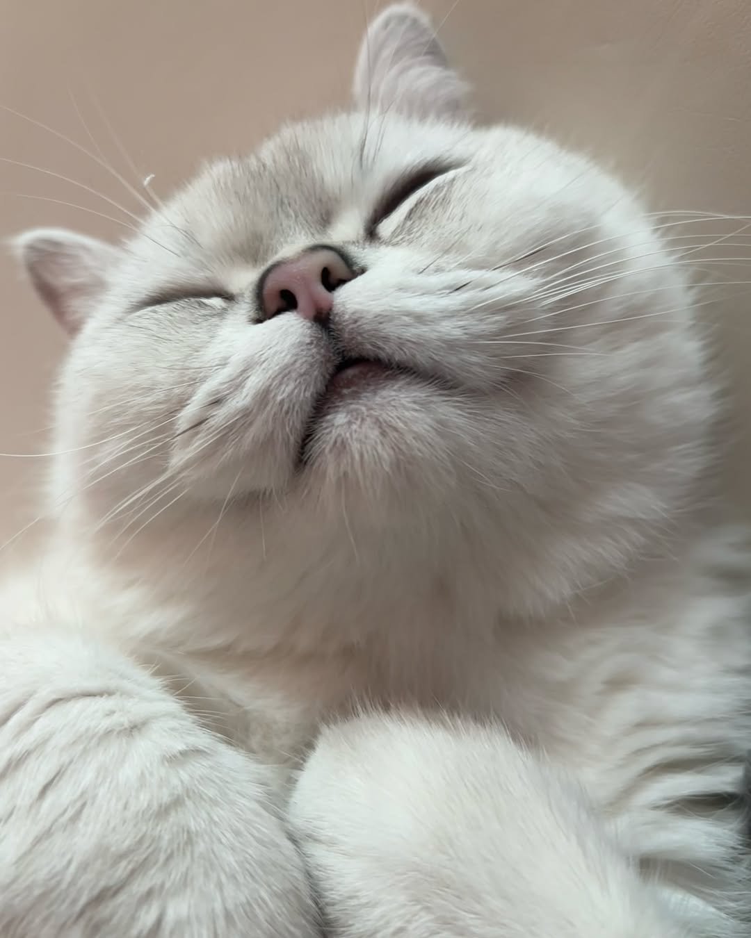 Photo by 남동생 유리 그리고 태리 on March 23, 2025.