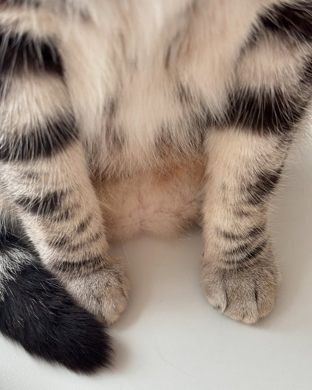 Photo by 남동생 유리 그리고 태리 on May 09, 2025.