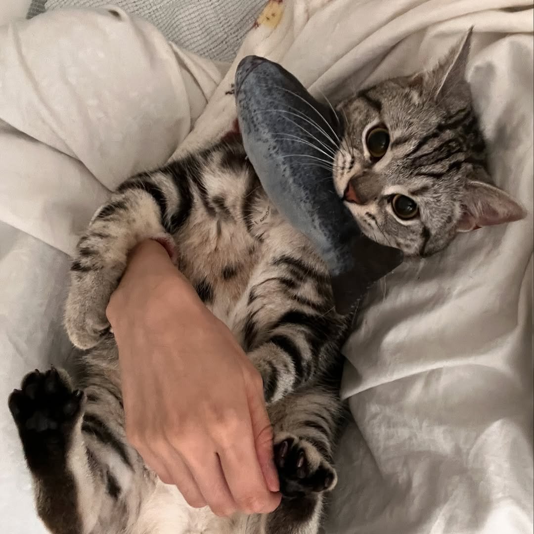 Photo by 남동생 유리 그리고 태리 on April 09, 2025.