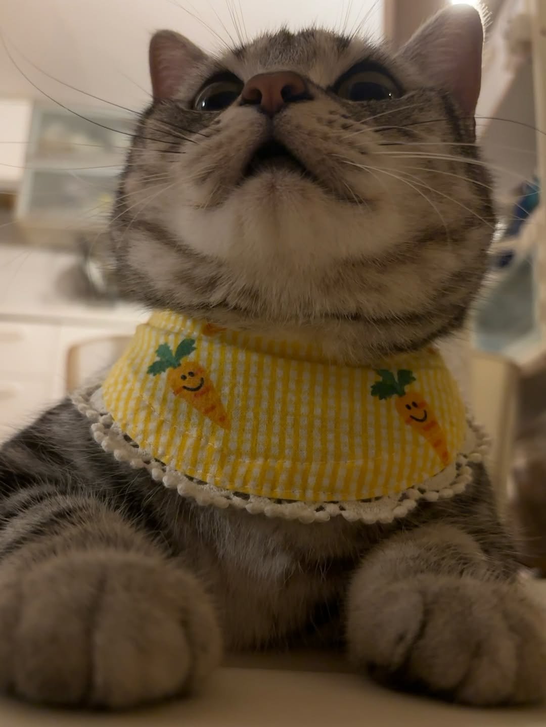 Photo by 남동생 유리 그리고 태리 on June 27, 2025.