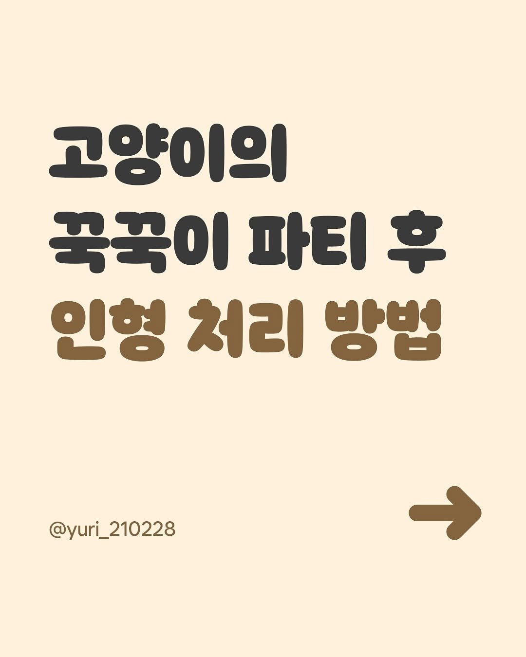 Photo by 남동생 유리 그리고 태리 on January 19, 2025.