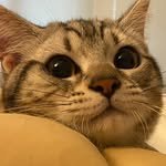 yuri_210228 인스타그램 프로필 사진