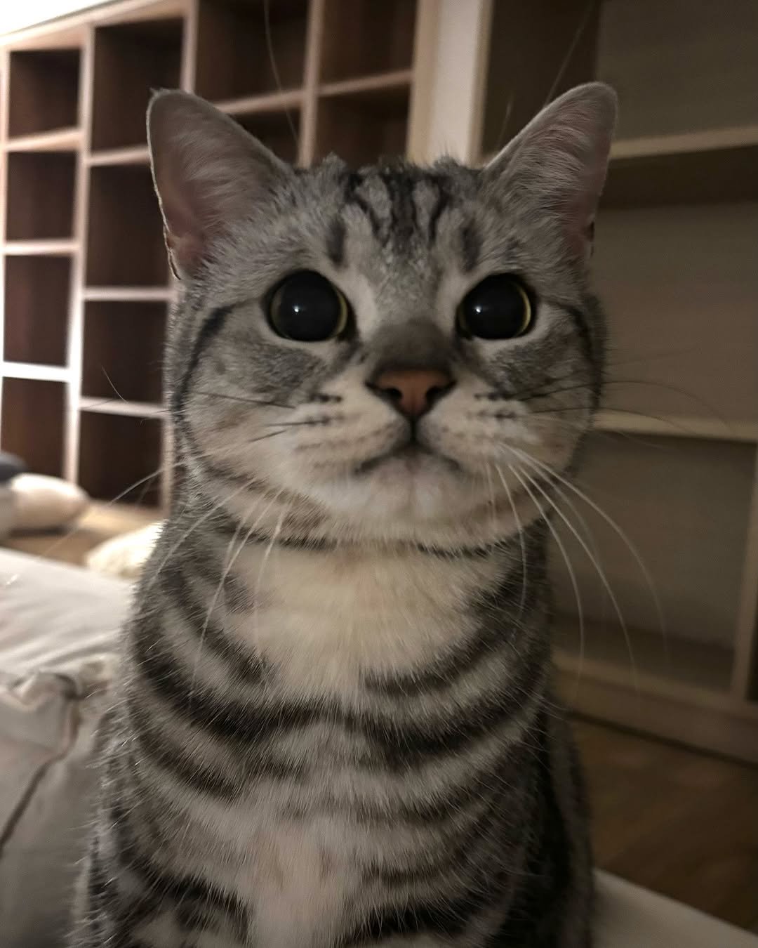 Photo by 남동생 유리 그리고 태리 on February 26, 2025.