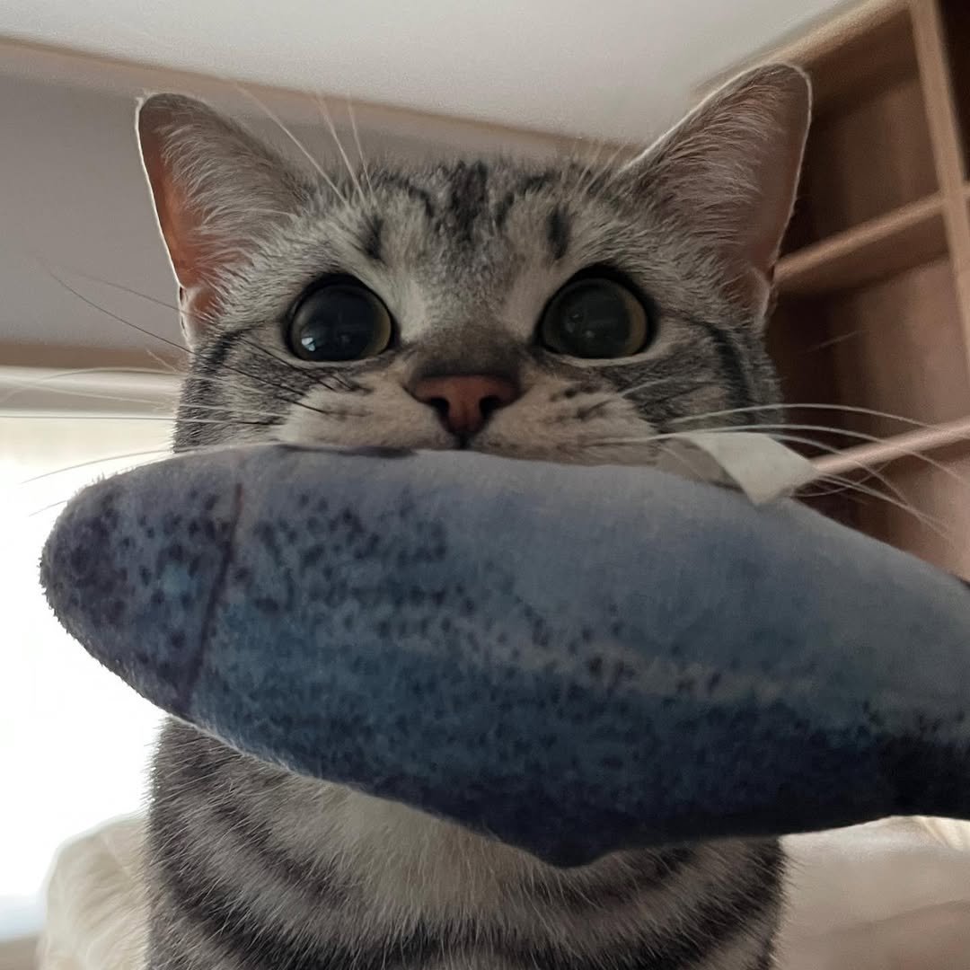 Photo by 남동생 유리 그리고 태리 on September 17, 2023.