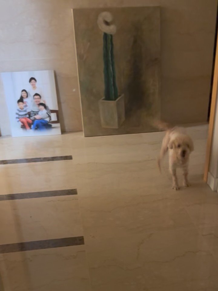 yurismatv 게시물 이미지: 빈둥지증후군 아줌마 퇴근 일상
#외로운 아줌마 
#빈둥지증후군