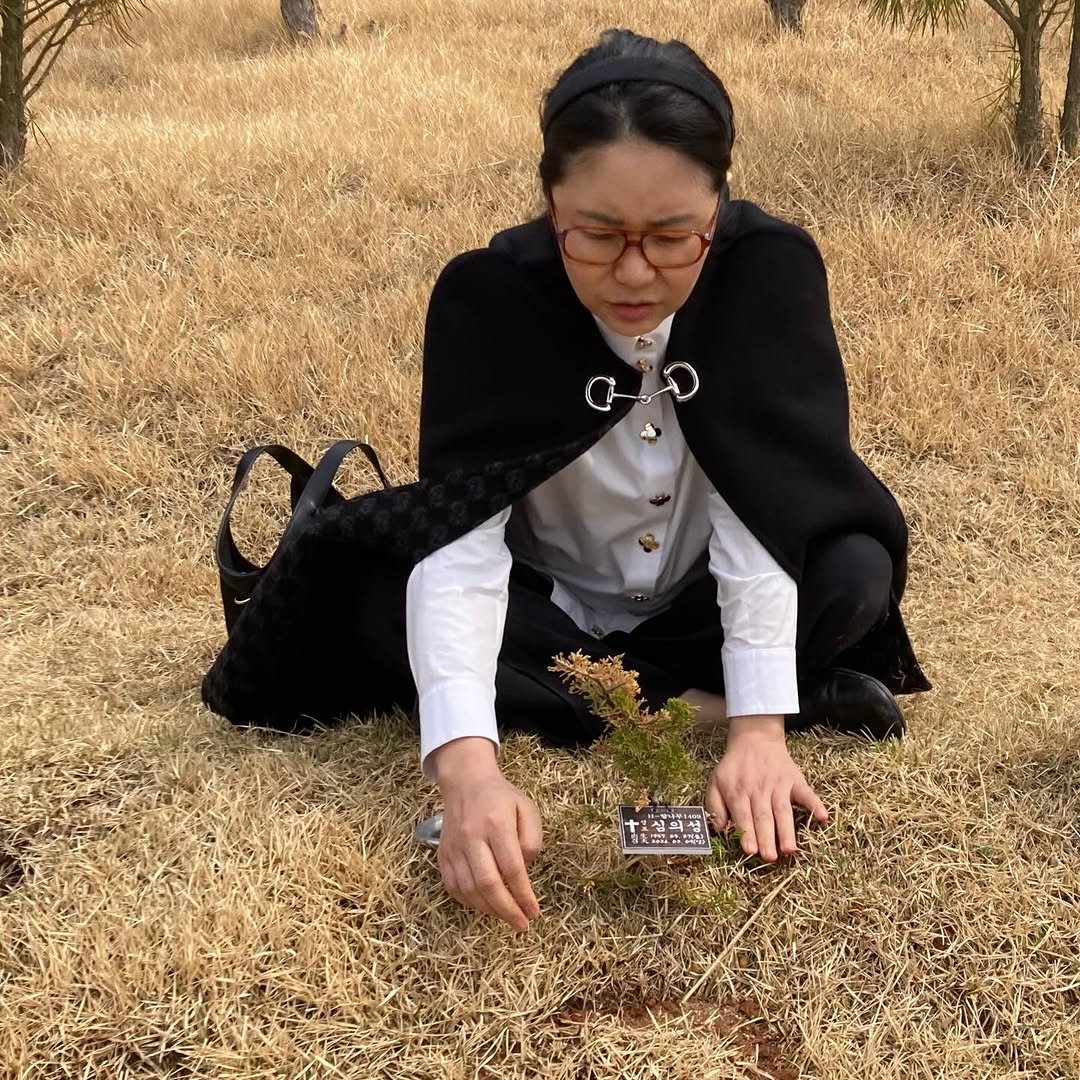 Photo by 유리스마 on March 28, 2026. May be an image of longan, devilwood, herb and text.