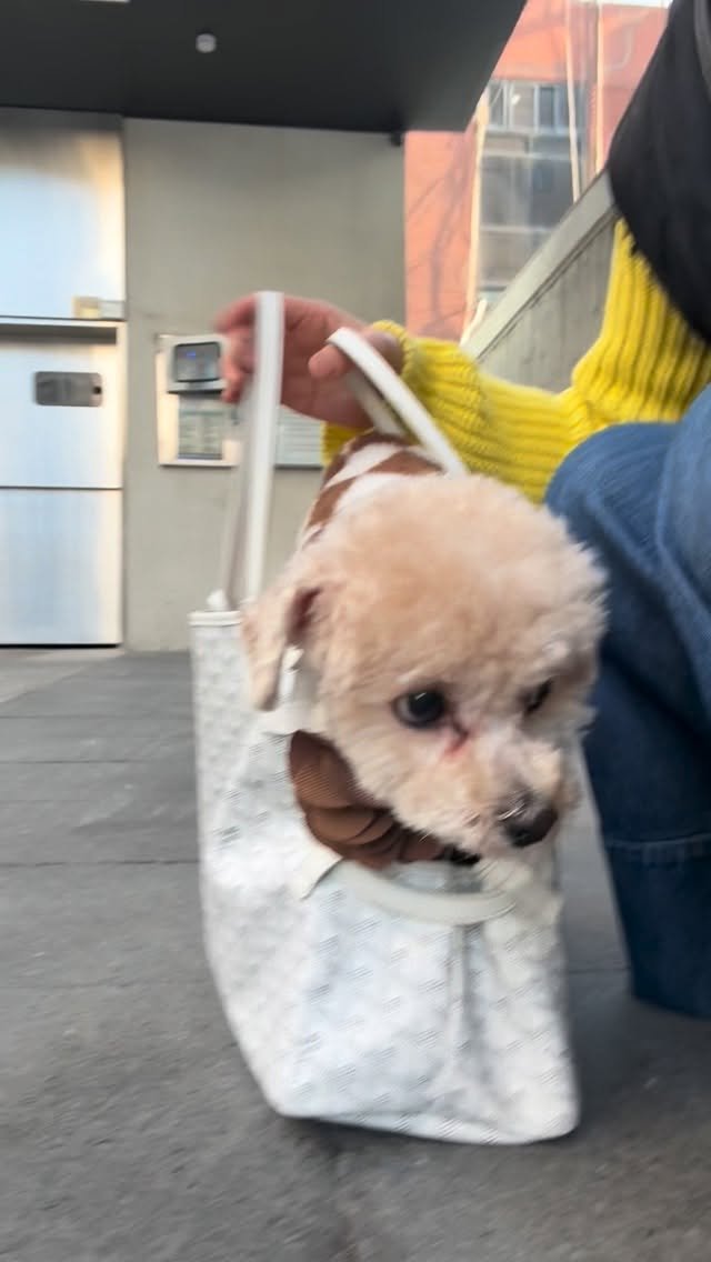 yurismatv 게시물 이미지: 사무실 한층을 비우기로 했다.
공간을 너무 낭비를 하는것 같아서 말이야 
사실은...