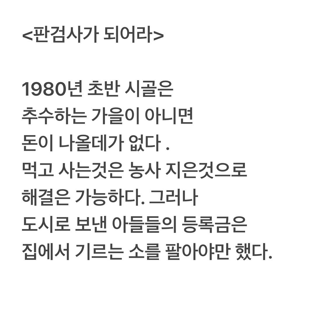 Photo by 유리스마 on July 13, 2025. May be an image of text that says '<판검사가 되어라> 1980년 초반 시골은 추수하는 가을이 아니면 돈이 나올데가 없다. 먹고 사는것은 농사 지은것으로 해결은 가능하다. 그러나 도시로 보낸 아들들의 등록금은 집에서 기르는 소를 팔아야만 했다.'.