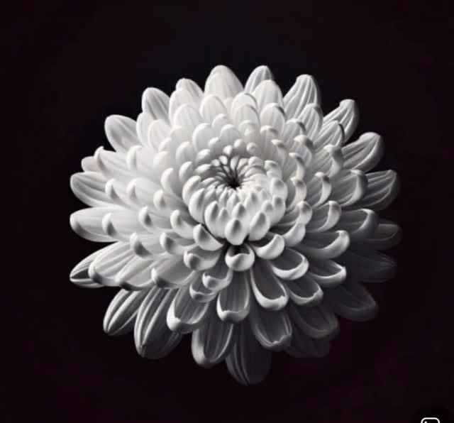 yurismatv 게시물 이미지: 먼저 가세요 아부지 …
자랑스럽게 잘 살다가 갈게요…
#아부지가셨습니다