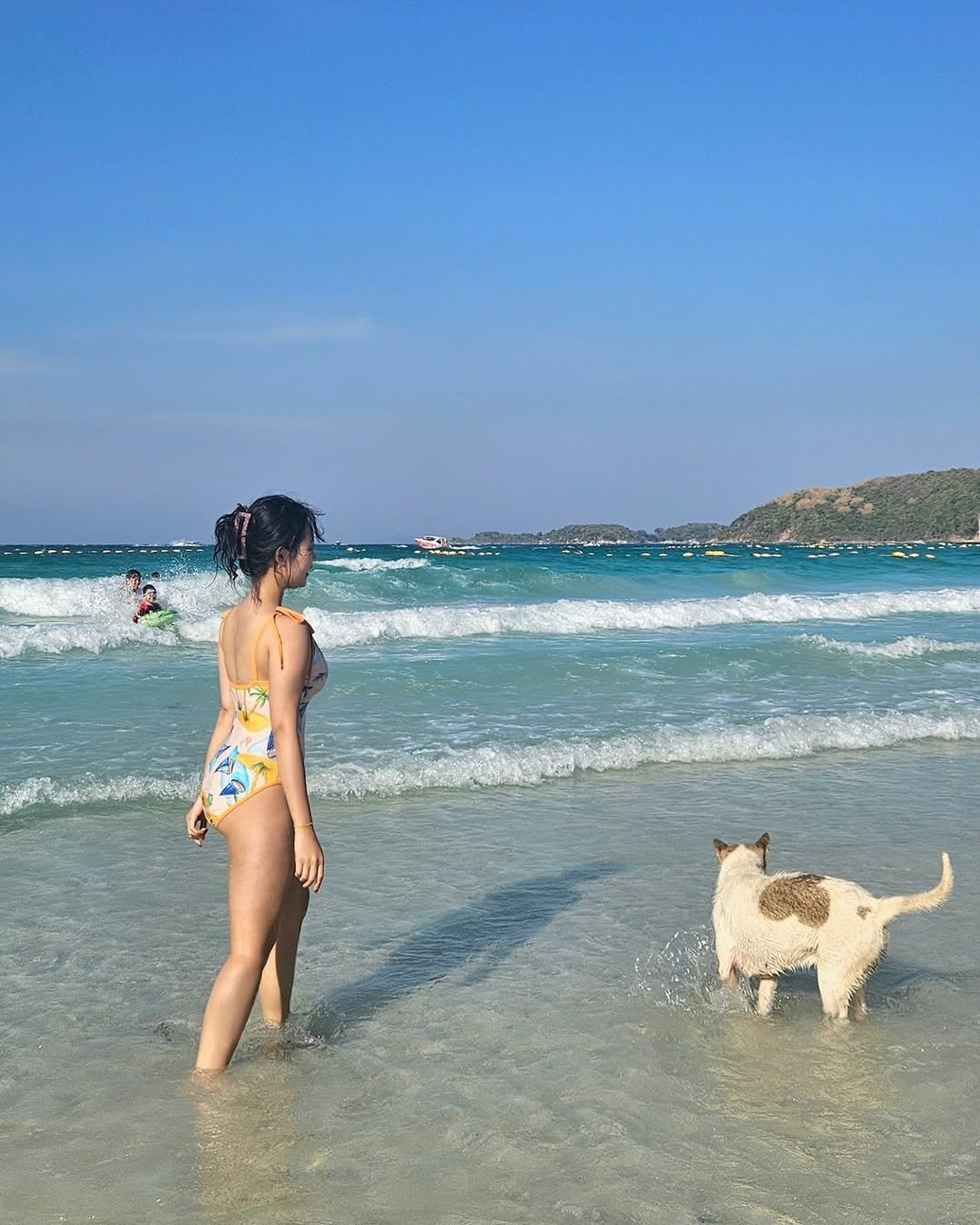 Photo by 유 지은 on January 22, 2025.