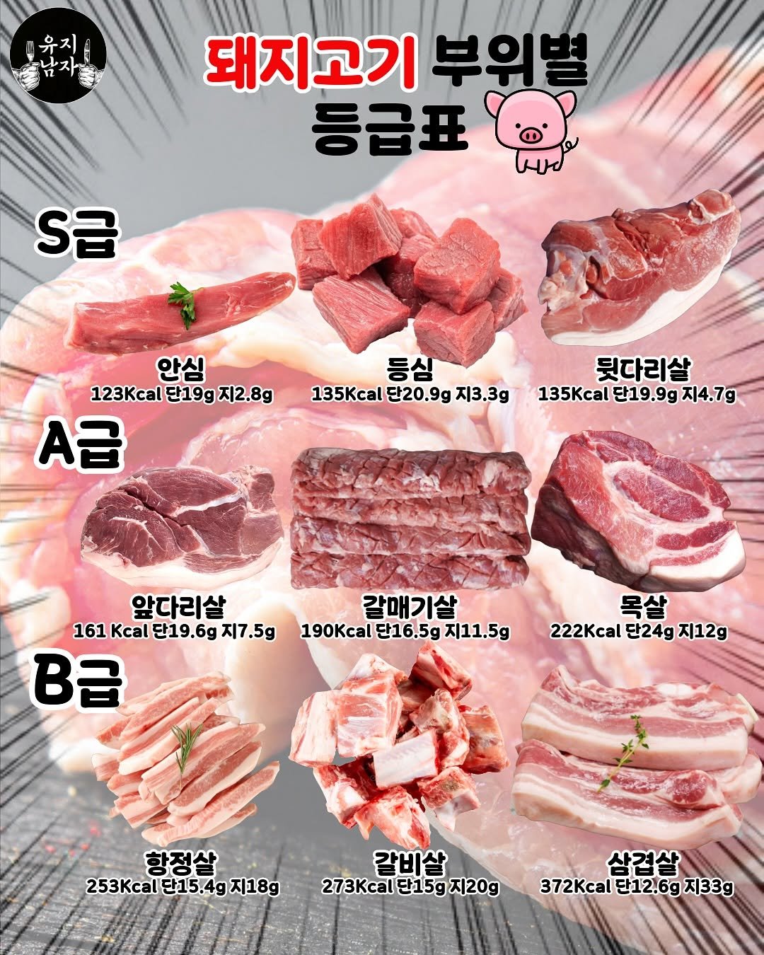 Photo by 유지남자 on August 05, 2025. May be an image of beef, pork and text that says '유지 유 돼지고기 부위별 등급표 오급 안심 123kcal단19g지2.8g 123Kc 1단19g지2.8g A급 등심 135Kcal 단20.9g 지3.3g 뒷다리살 135Kcal 단19.9g 135Kcal단19.9g지4.7g 지4.7g 앞다리살 갈매기살 161 Kcal 단19.6g 161Kcal19.6gズi7.5g 단1 지7.5g 190.a단16.5 190Kcal 단16.5g 지11.5g B급 목살 222Kcal 단24g 222kcal단24g지12g 단24g지12g 지12g 항정살 253kcal단15.4g지18g 단15.4g 지18g 253 갈비살 273 단15g 273kcal단15g지20g 지20g 삼겹살 372kcal단12.6g지33g 지33g 372 단12.6g'.