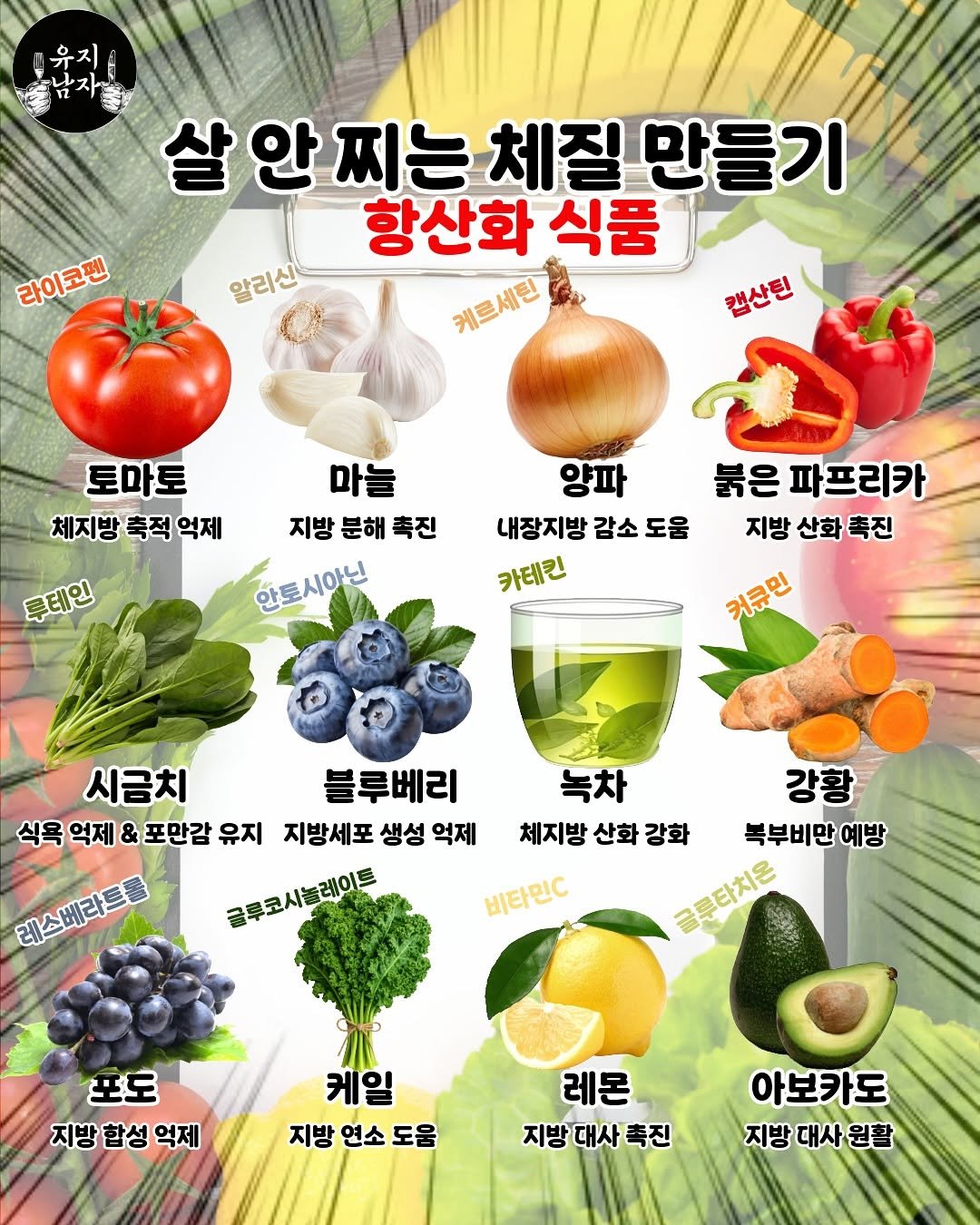 Photo by 유지남자 on August 17, 2025. May be an image of onion, mangosteen and text that says '유지 라이코팬 라이코펜 안찌는 살안찌는체질 안 체질 만들기 항산화 식품 케르세틴 알리신 캔산틴 토마토 마늘 체지방 축적 체지방축적억제 억제 지방분해촉진 지방 분해 촉진 안토시아닌 투테인 양파 붉은 파프리카 내장지방 감소 내장지방감소도움 도움 지방 지방산화촉진 산화 카테킨 커큐민 시금치 블루베리 식욕 억제 식욕역제&포만감 & 포만감 유지 지방세포 생성 억제 글루코시블레이드 테스비라트홀 녹차 강황 체지방 산화 체지방산화강화 강화 복부비만예방 글로타치 de 비타민C 포도 지방합성억제 지방 합성 억제 케일 지방 연소 도움 레몬 지방대사촉진 촉진 아보카도 지방대사원활'.