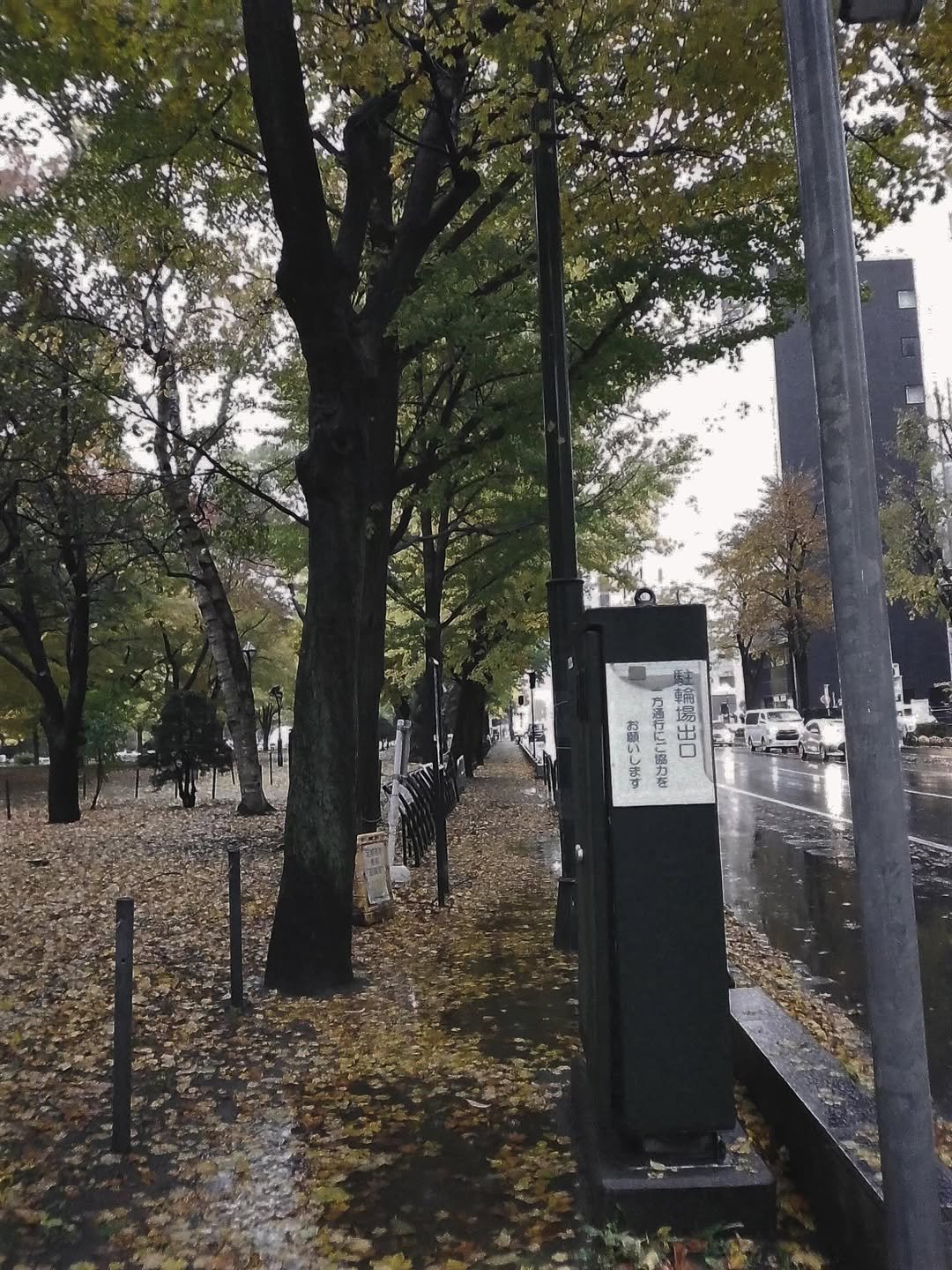 Photo by 하랑 on November 04, 2025.